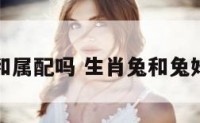 生肖兔和属配吗 生肖兔和兔婚配如何