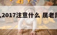 属鼠的人2017注意什么 属老鼠的人2017