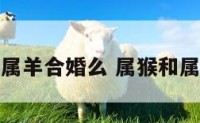 属猴和属羊合婚么 属猴和属羊合不