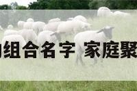 家庭参加活动组合名字 家庭聚会的活动项目