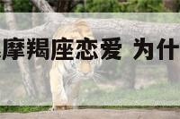 为什么不能跟摩羯座恋爱 为什么不能和摩羯男谈恋爱