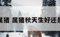 春天生保属猪 属猪秋天生好还是冬天生好