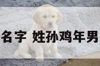 姓孙鸡年男孩名字 姓孙鸡年男孩名字怎么取