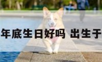 属猪的年底生日好吗 出生于属猪年