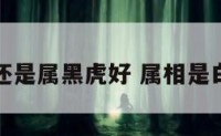 属白虎好还是属黑虎好 属相是白虎怎么样