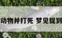 梦见抓住动物并打死 梦见捉到一只动物