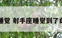 射手座睡觉 射手座睡觉到了白天吓醒