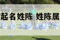 给狗年女宝宝起名姓陈 姓陈属狗的男孩名字大全