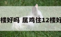 属鸡住12楼好吗 属鸡住12楼好吗吉利吗