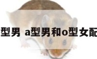 a型与o型男 a型男和o型女配对指数