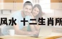 十二生肖属性风水 十二生肖所属的风水方向