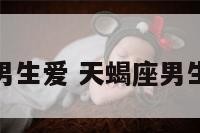 天蝎座男生爱 天蝎座男生爱情观