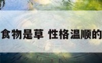 性格温驯食物是草 性格温顺的食肉动物