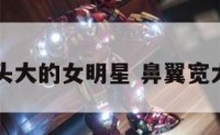 鼻翼宽鼻头大的女明星 鼻翼宽大的男明星