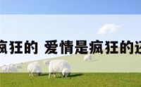 爱情就是疯狂的 爱情是疯狂的还是理智的