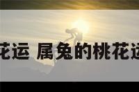 属兔没有桃花运 属兔的桃花运在哪个方向