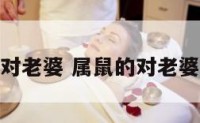 属鼠的对老婆 属鼠的对老婆好不好
