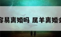 属羊人容易离婚吗 属羊离婚会后悔吗