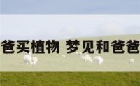 梦到和爸爸买植物 梦见和爸爸一起买花