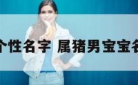 属猪男宝个性名字 属猪男宝宝名字寓意好