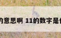 数字11的意思啊 11的数字是什么意思