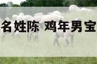 鸡年男宝宝起名姓陈 鸡年男宝宝起名姓陈好吗