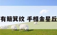 手相金星丘有簸箕纹 手相金星丘有很多横纹