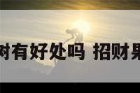 招财植物果树有好处吗 招财果树图片大全