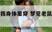 梦到老鼠在我身体里穿 梦见老鼠穿衣服是怎么回事