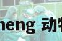 动物meng 动物萌图
