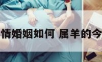 属羊今年感情婚姻如何 属羊的今年感情婚姻