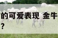 金牛座生气时的可爱表现 金牛座生气的时候是什么样子的?