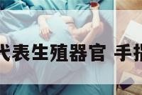 手指长短代表生殖器官 手指长短意义