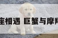 巨蟹座摩羯座相遇 巨蟹与摩羯的前世今生