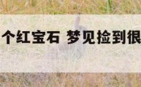 梦见捡到两个红宝石 梦见捡到很多颗粒状红宝石