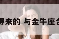 与金牛座合得来的 与金牛座合得来的星座