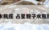 占星骰子水瓶座 占星骰子水瓶座代表什么
