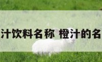 橙汁饮料名称 橙汁的名称