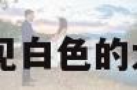 解梦白色船 梦见白色的大船是什么意思