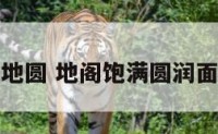 面相地圆 地阁饱满圆润面相女