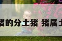 属猪的分土猪 猪属土吗