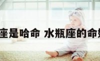 水瓶座是哈命 水瓶座的命好吗?