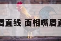 面相嘴唇直线 面相嘴唇直线上翘