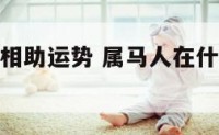 属马什么属相助运势 属马人在什么生肖年运势好