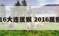 2016大连属猴 2016属猴子