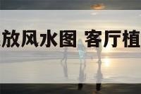 客厅植物的摆放风水图 客厅植物怎么摆放风水好