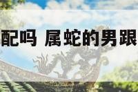 属蛇男和属蛇配吗 属蛇的男跟属蛇的女相配吗