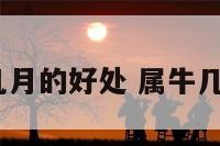 属牛的几月的好处 属牛几月份好?