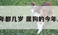 属狗的今年都几岁 属狗的今年几岁2024