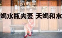 明星中的天蝎水瓶夫妻 天蝎和水瓶的明星夫妻